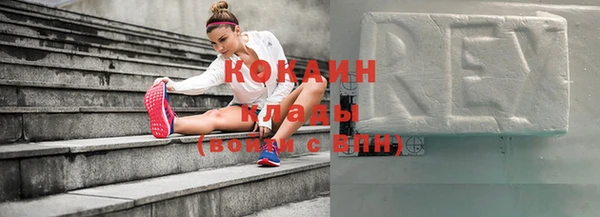 твердый Козловка