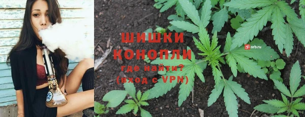 твердый Козловка