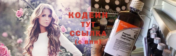 твердый Козловка
