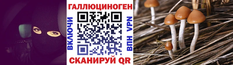 Псилоцибиновые грибы мицелий  Купить закладки  Воткинск 